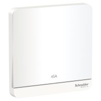 Avatar On 45A DP Switch (E8331D45N_WE)